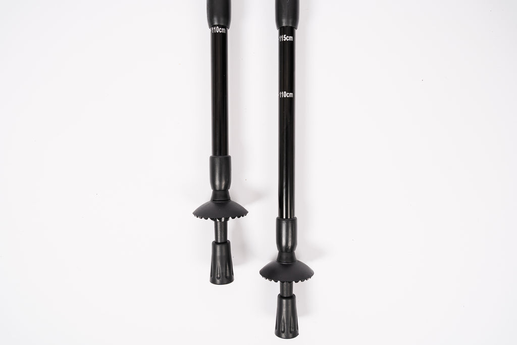 Paire de Bâtons de Randonnée